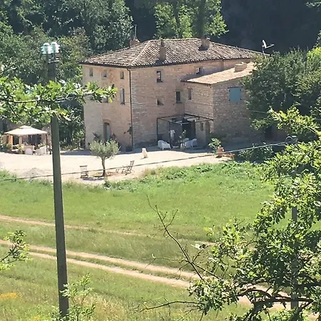 La Fenella Apartman Caudino